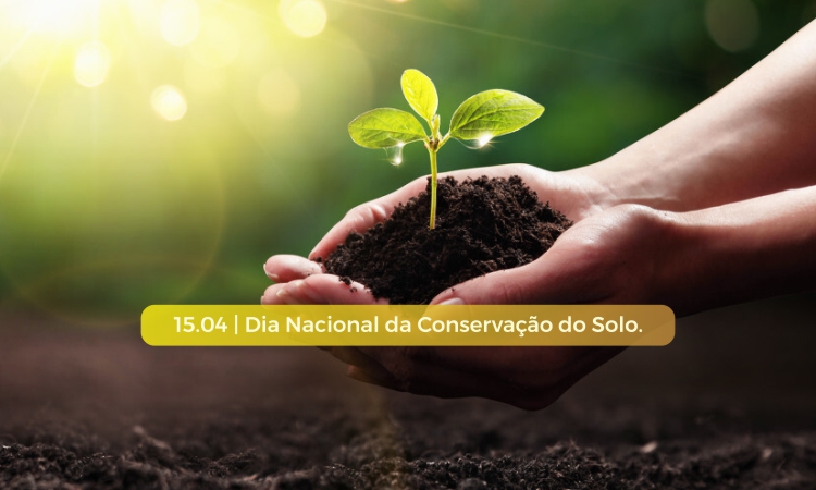 No Dia Nacional da Conservação do Solo, conheça os vilões que poluem a nossa terra